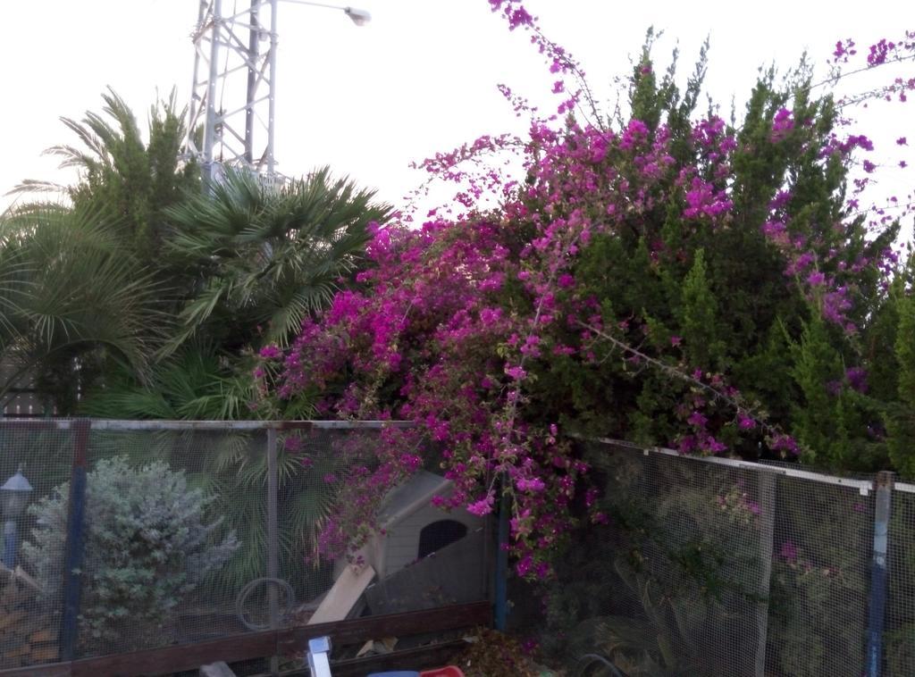 Castel Ashkelon Hotel ภายนอก รูปภาพ